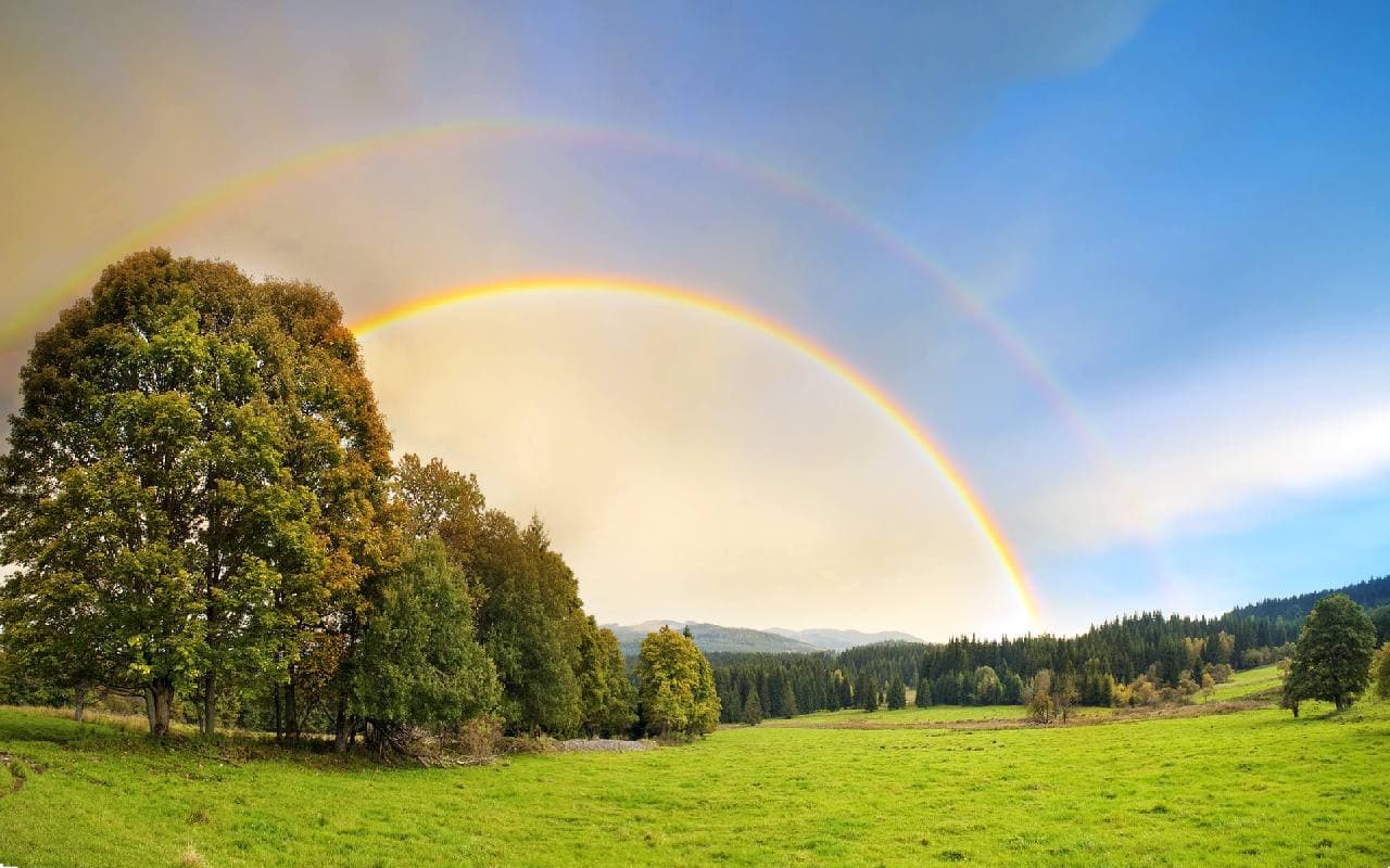 Schauer im Norden, sonst gebietsweise Sonne