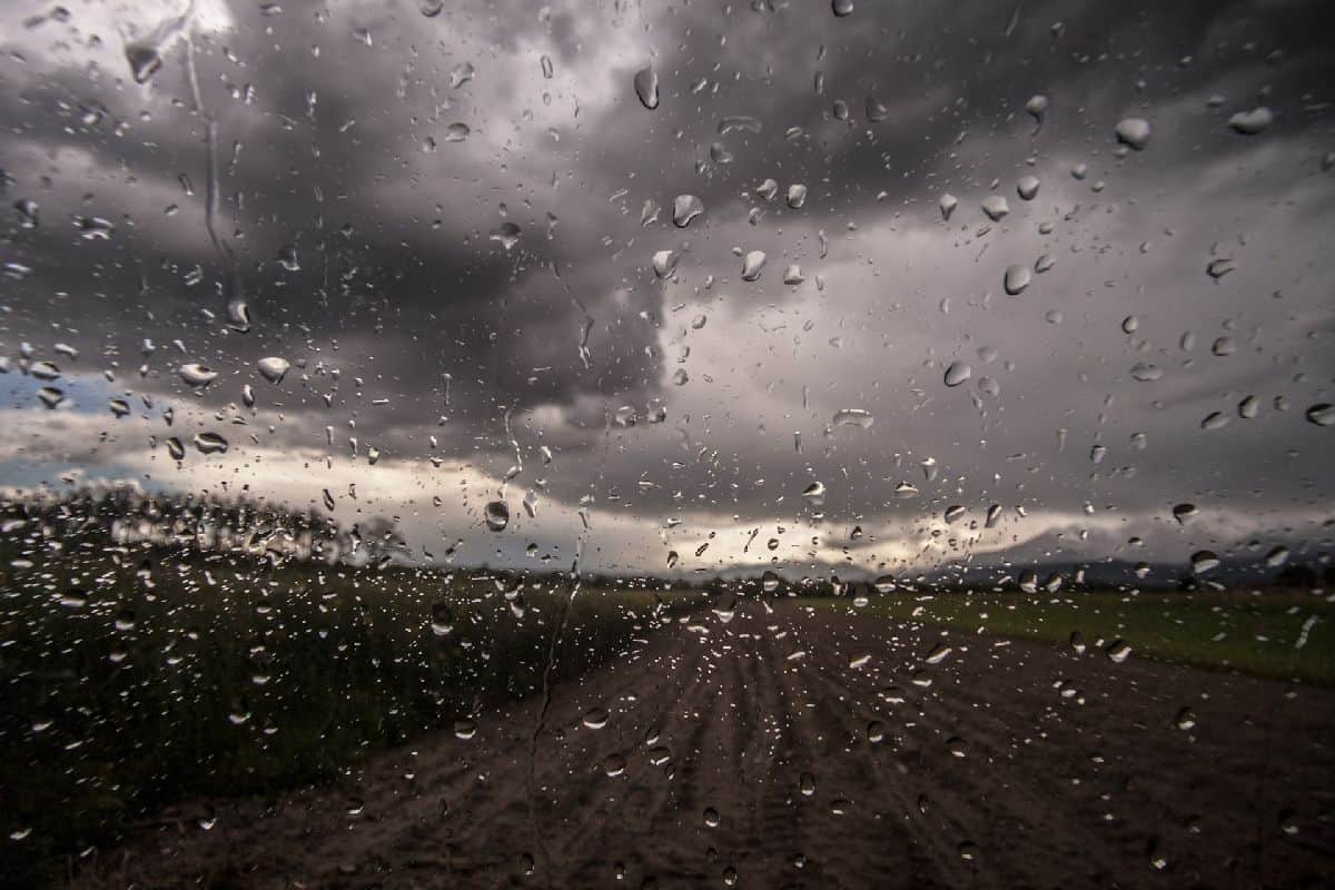 Langersehnter Regen in Sicht – neue Woche startet verbreitet sehr nass