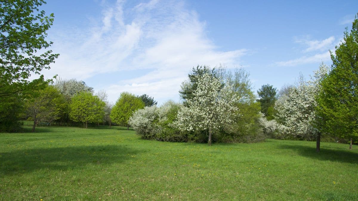 Frühsommer im Süden mit Abschiedsvorstellung