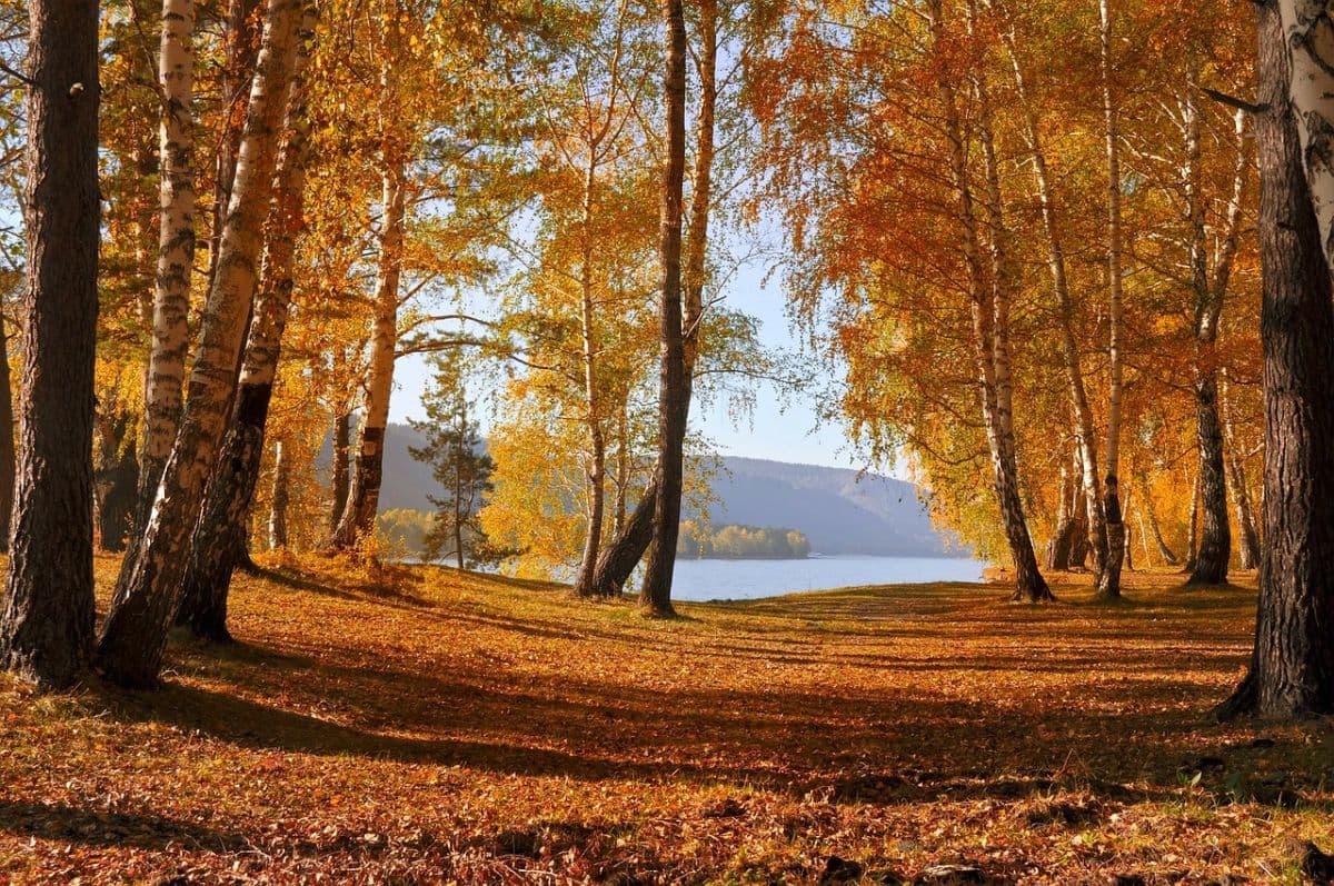 Goldener Oktober in der Endlosschleife