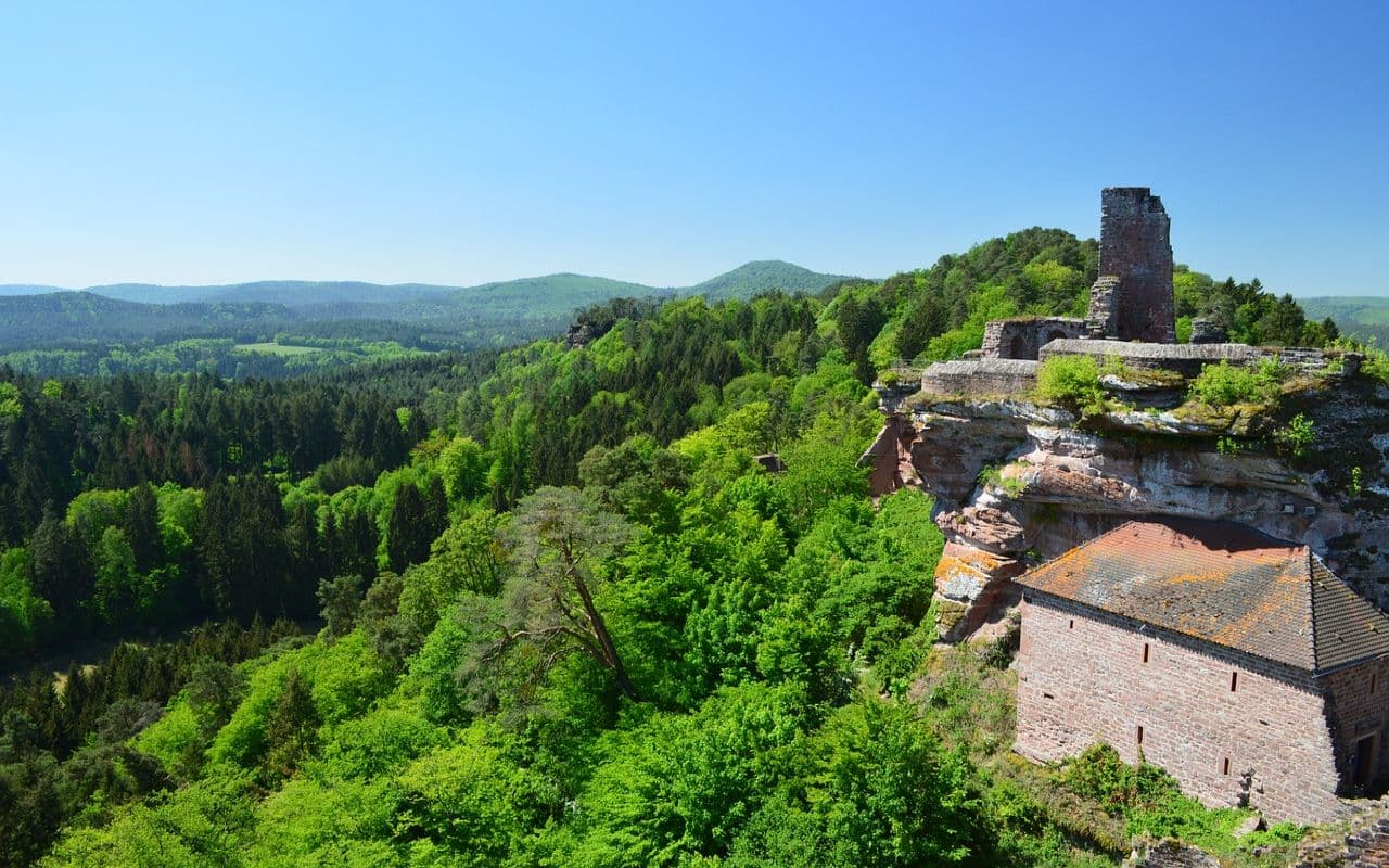 Sommerurlaub 2021 – Wissenswertes und Vorbereitungstipps