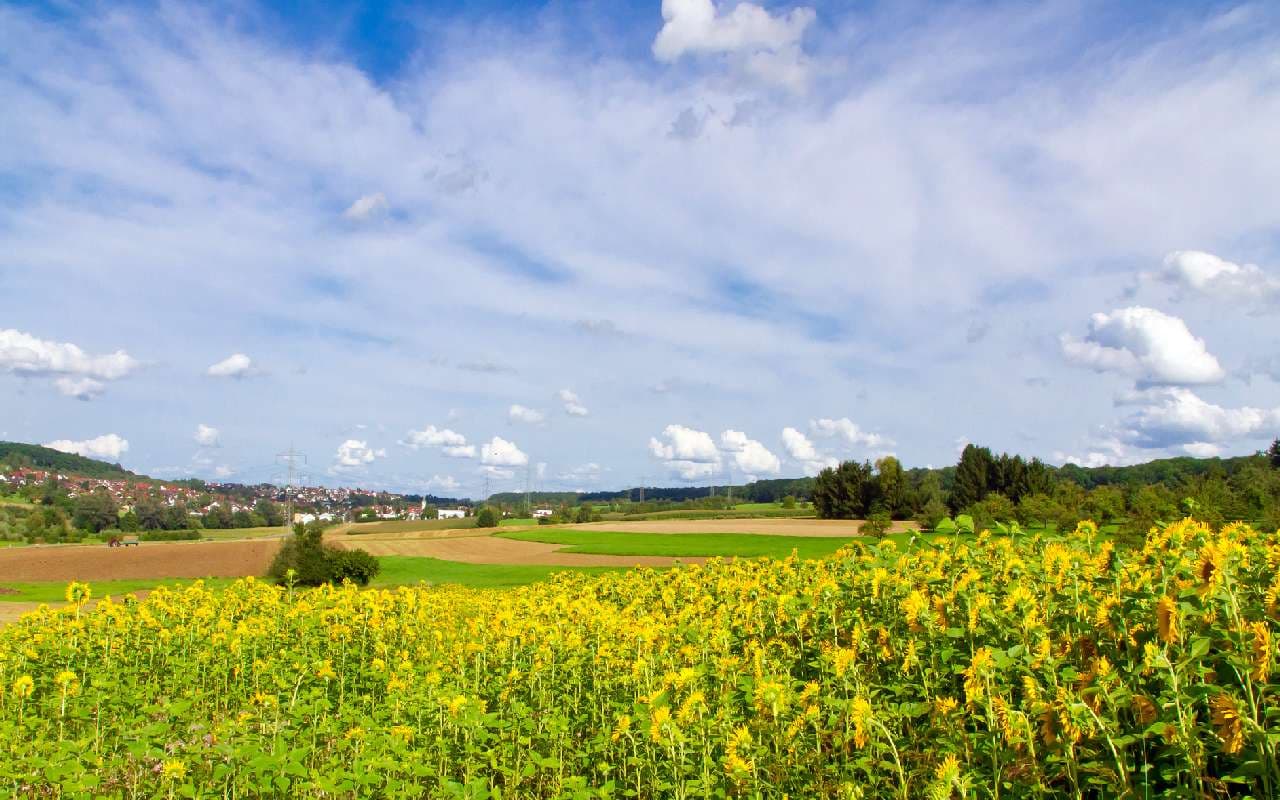 Hoch Vesna beendet die Unwetterserie