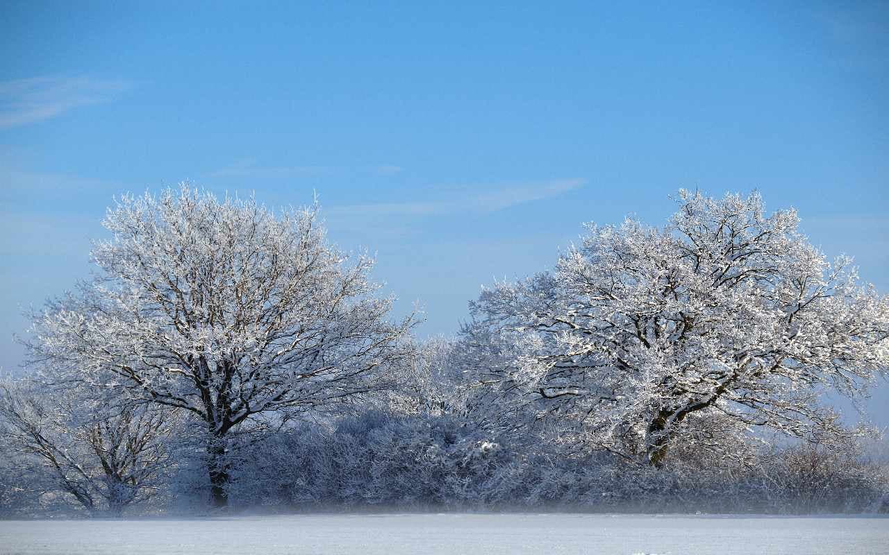 Teils trüb mit etwas Schnee, teils sonnig