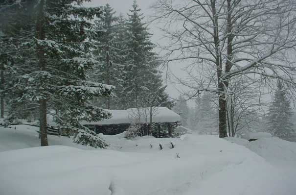 Viel Neuschnee!