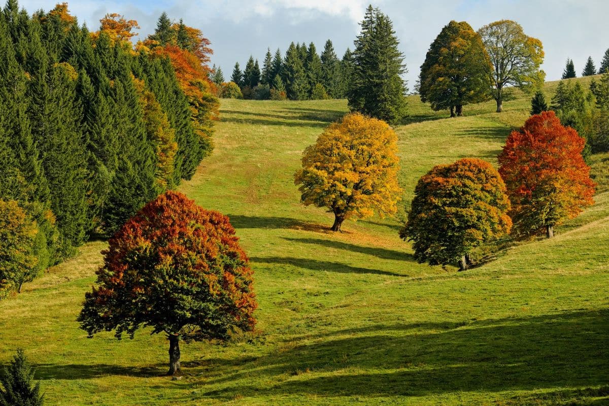 Altweibersommerwetter setzt sich durch