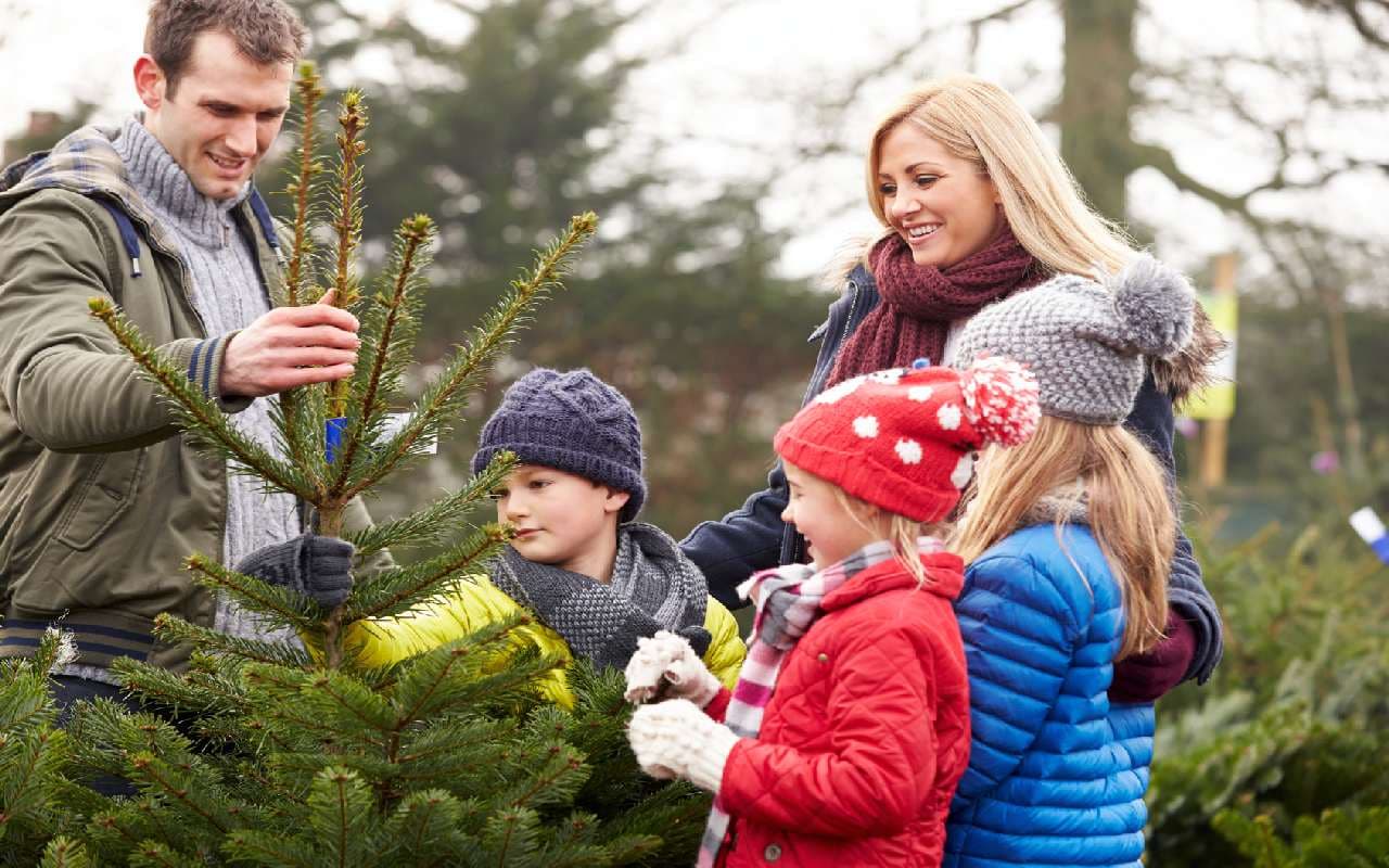 Weiße Weihnacht Fehlanzeige