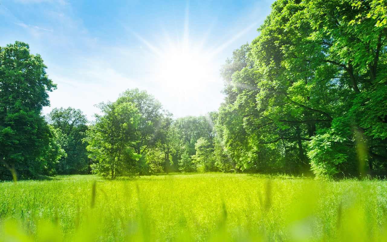 Bis Sonntag viel Sonnenschein und warm