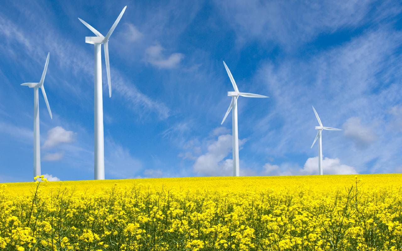 Temperaturen und Sonnenschein im Aufwärtstrend