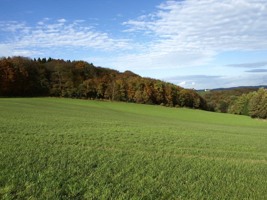 Gebietsweise spätsommerlich warm