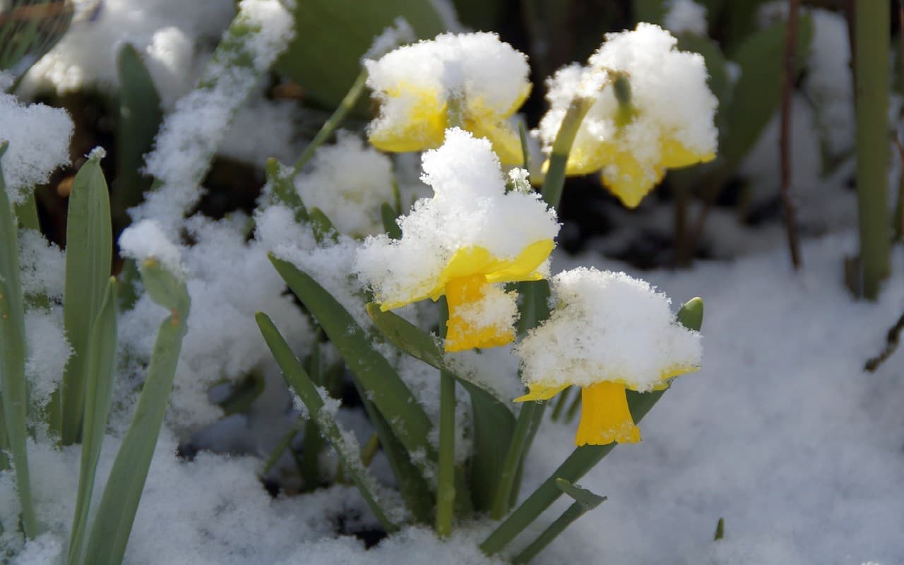 Ostertage bringen Auf und Ab der Temperaturen