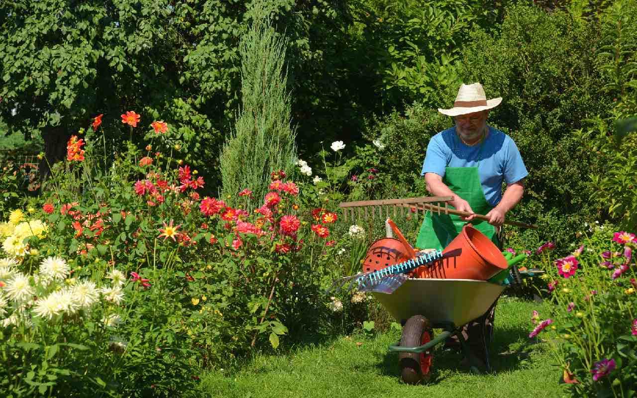 Mit Sonne satt zur Landesgartenschau