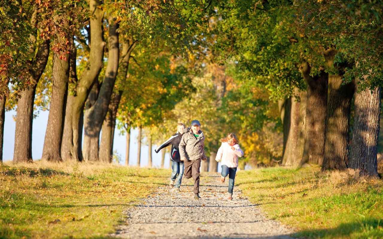 Morgen letzter landesweiter goldener Oktobertag mit sommerlicher Wärme