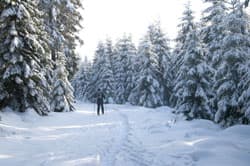 Winterliche Woche in den Mittelgebirgen