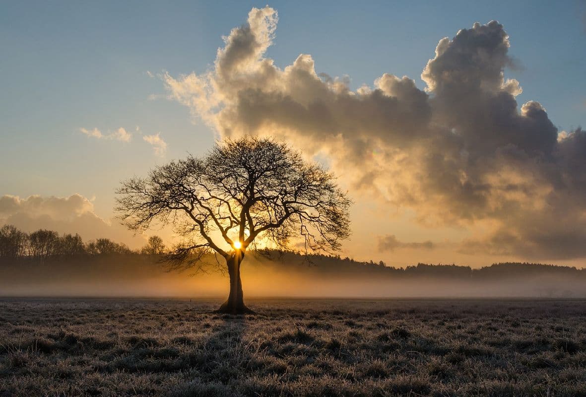 Zwischen dem Dauergrau gebietsweise sonnig