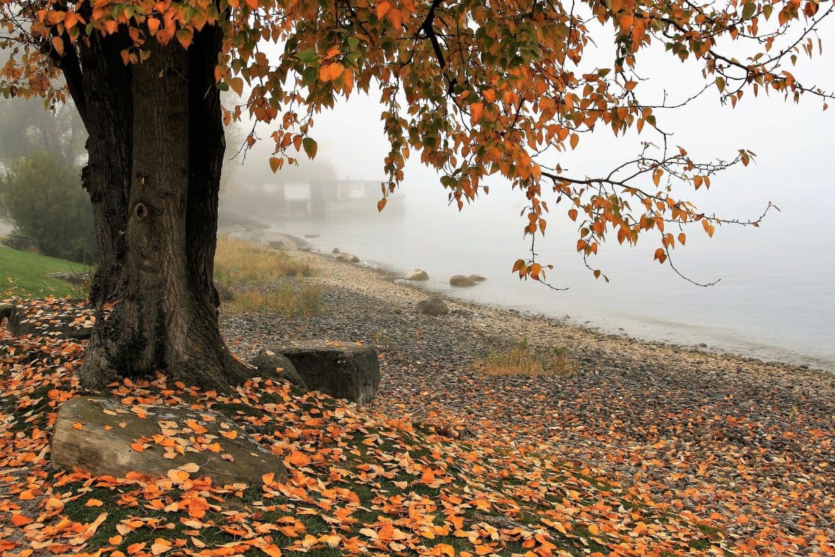 Nebel-Sonne-Mix, im Südosten trüb