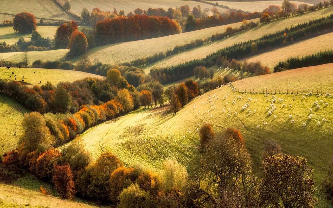 Rekord-Herbst im Extrem-Jahr 2018