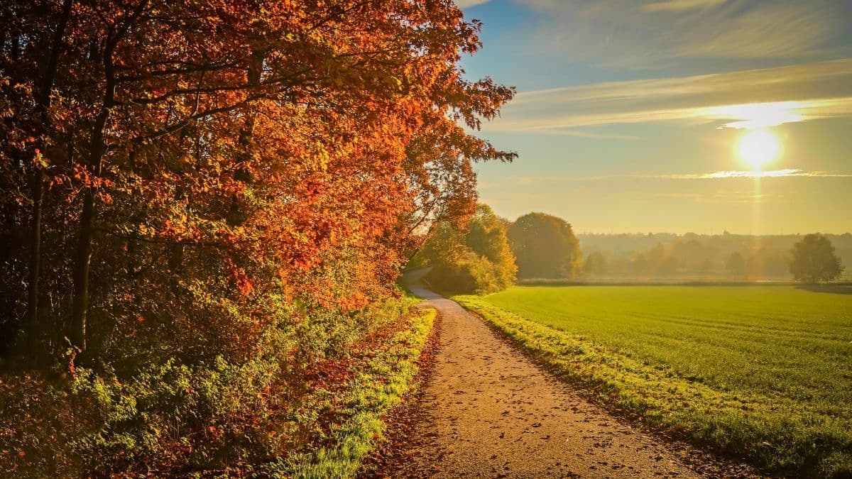 Was unterscheidet den Altweibersommer vom Spätsommer?