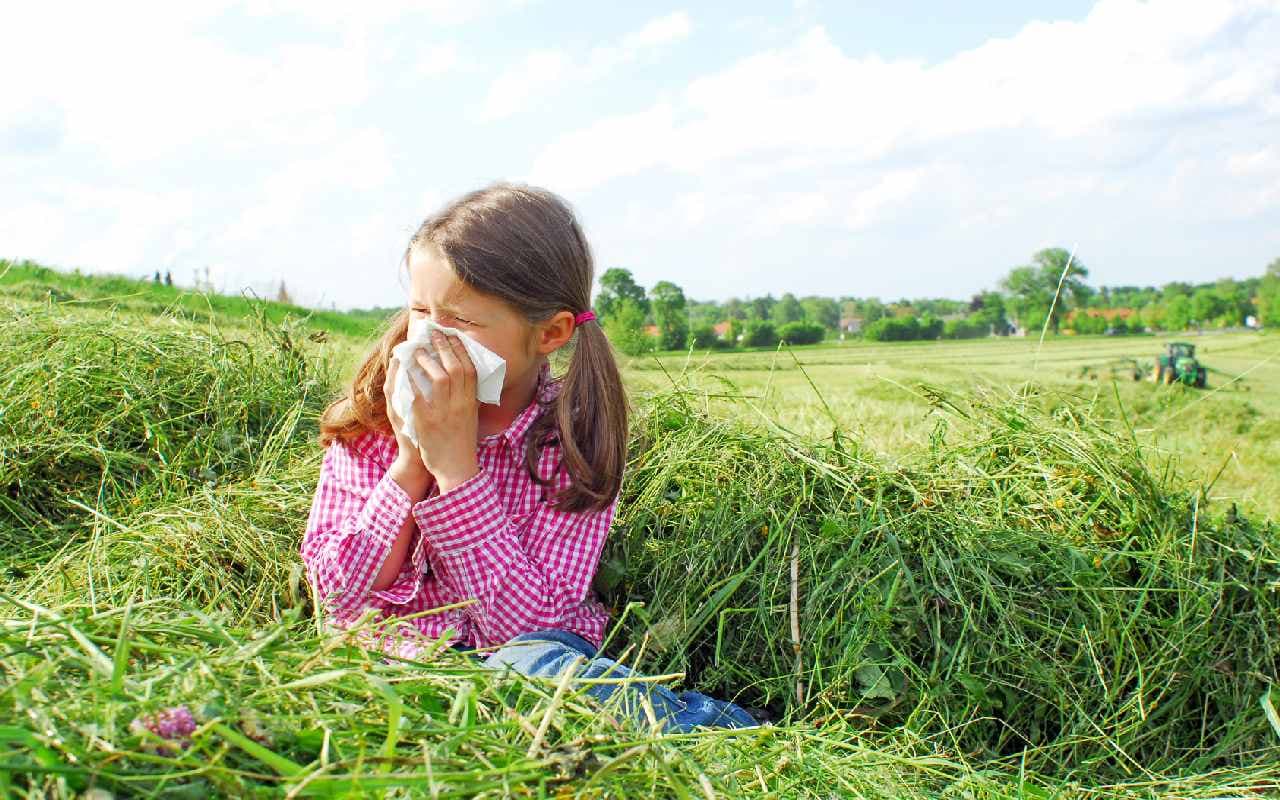 Auch Augusttemperaturen überdurchschnittlich!
