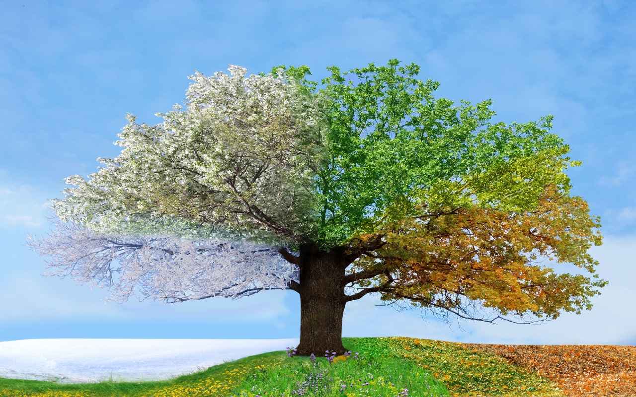 Kalendarischer Sommeranfang – doch was bedeutet das?