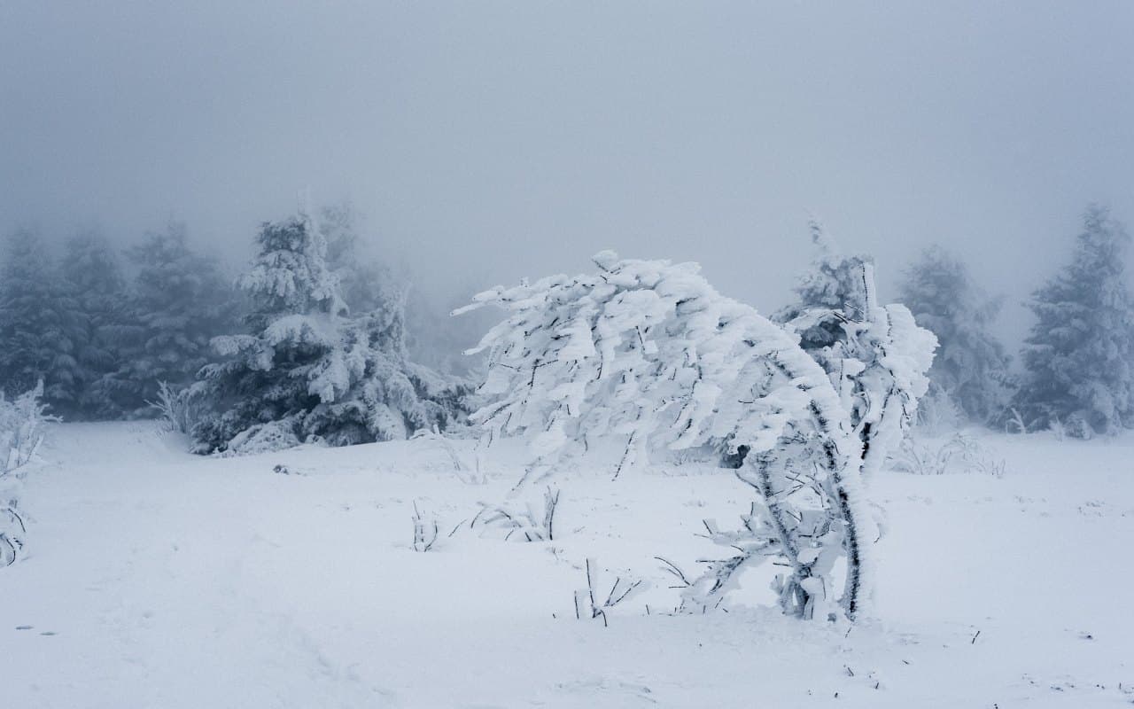 Droht uns ein Jahrhundertwinter?