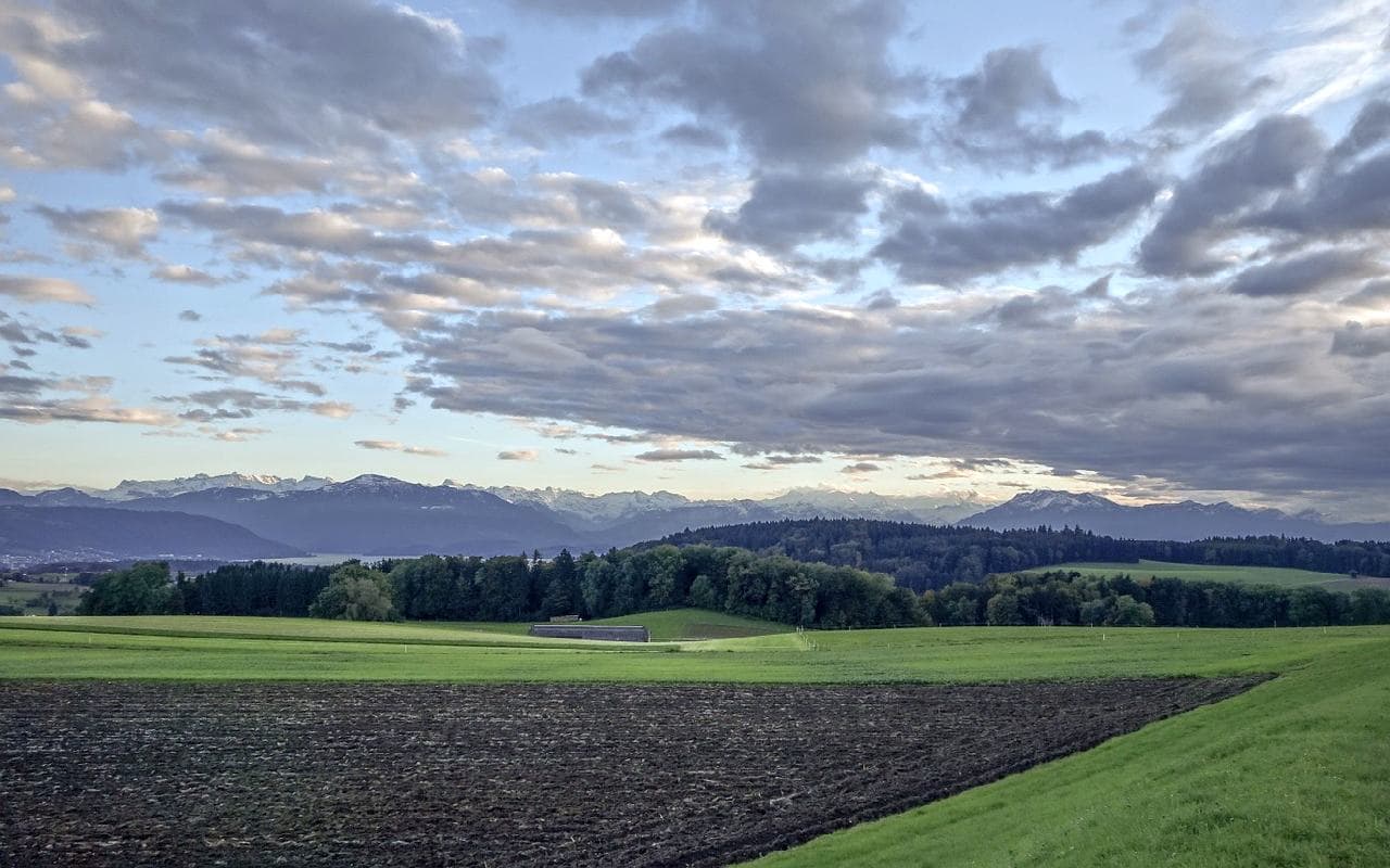 Oft freundlich, vereinzelt Schauer, später im Süden Regen
