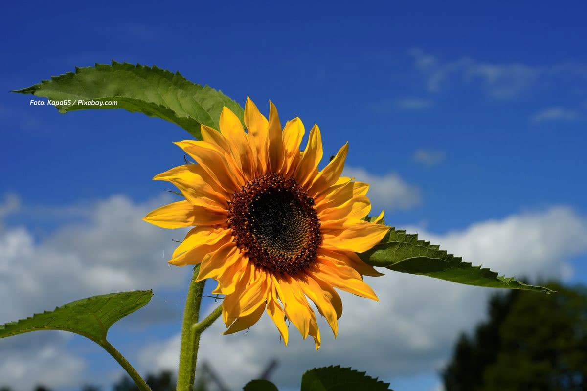 Please: Don't shoot the messenger! Spätsommer fällt aus - Vollherbst ist angekommen...