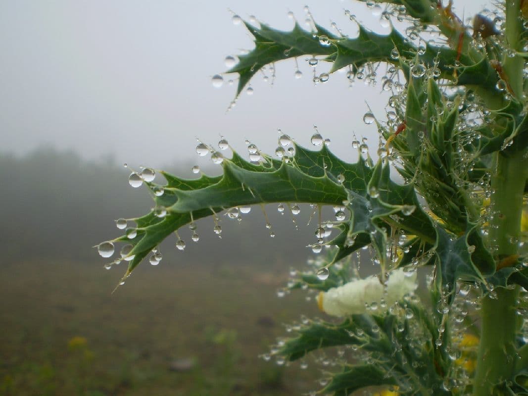 Im Osten viel Regen, im Westen teils freundlich
