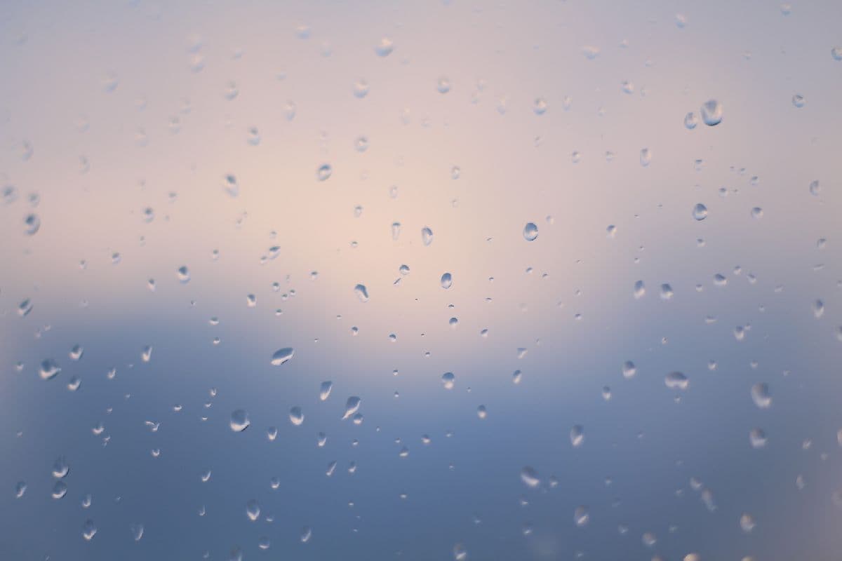 Nass-trübes Wetter, nur im Norden zeitweise Sonne