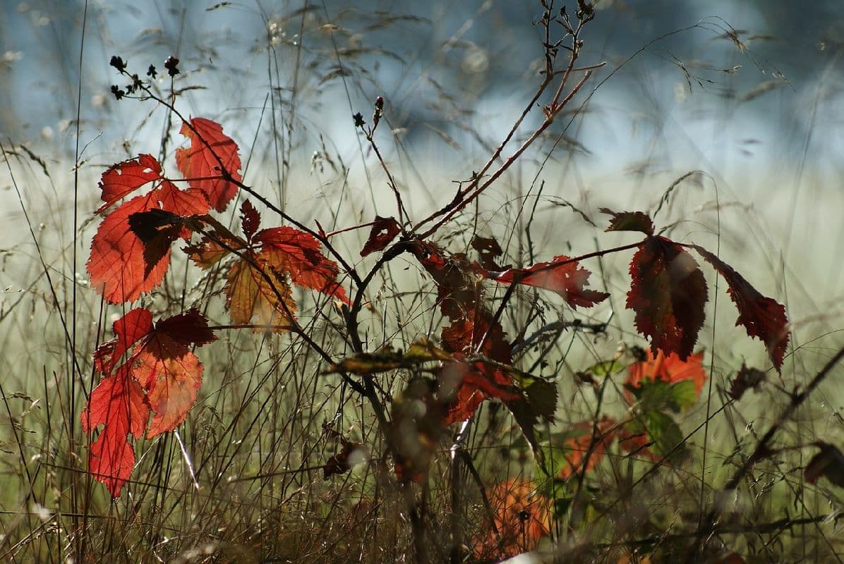 Erst Regen, dann Temperatursturz und Schnee in den Hochlagen