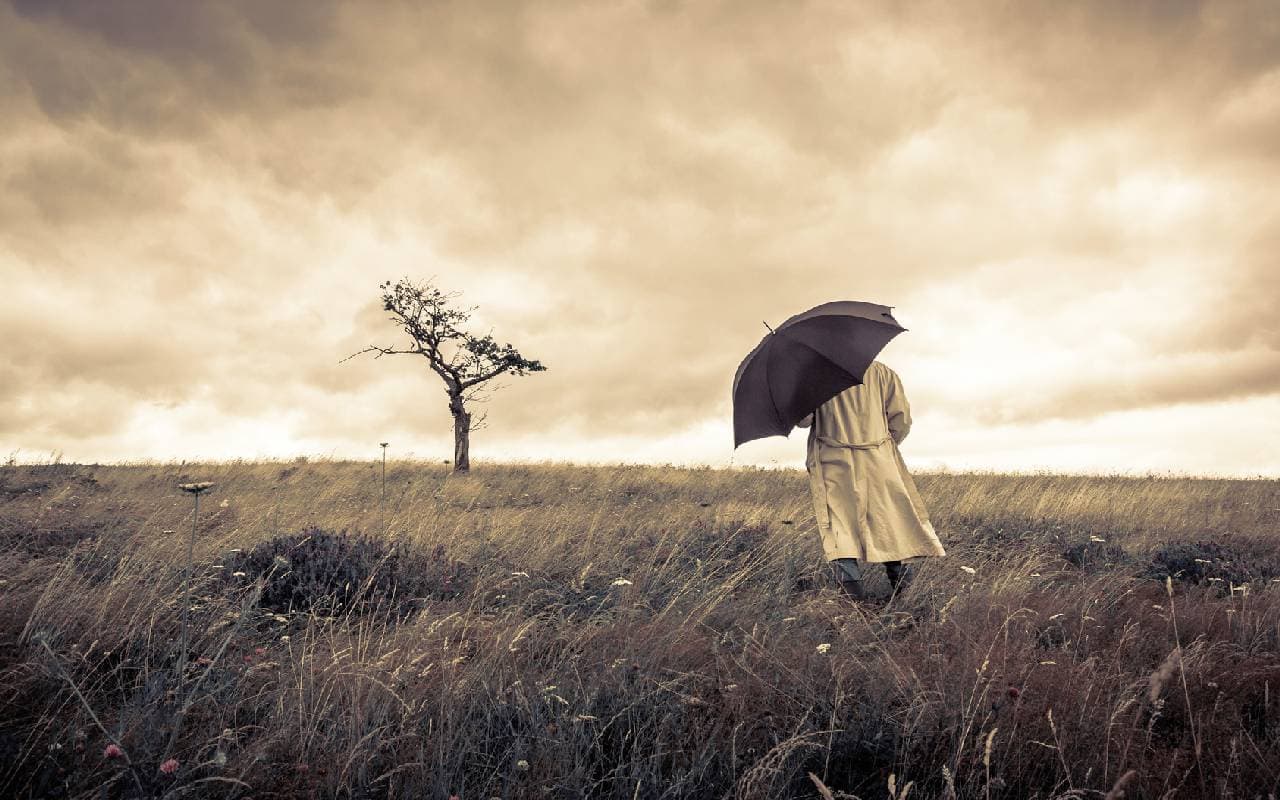 Milder, aber neuer Regen im Anmarsch