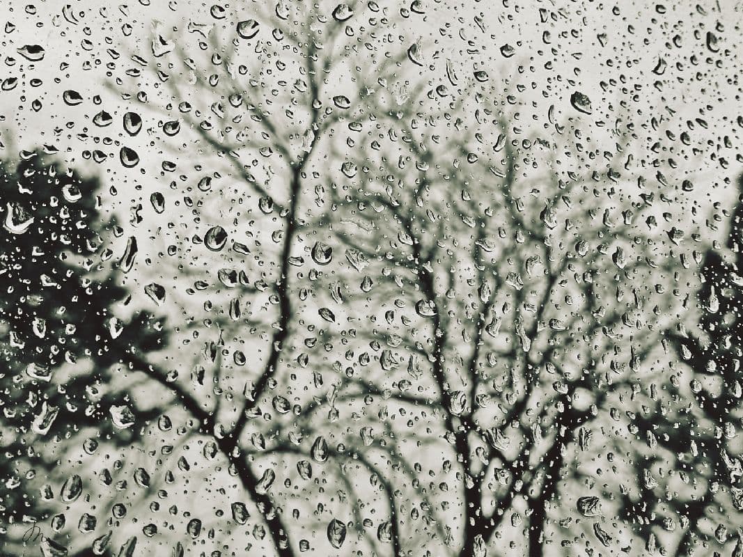Im Westen und Norden nachts etwas Regen