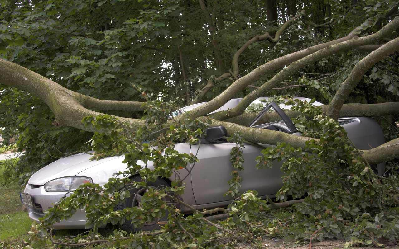 Drei Tote durch Herbstorkan Sebastian