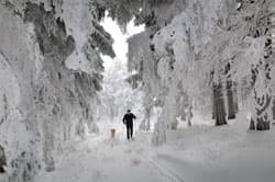 Neuschnee en masse in den Alpen