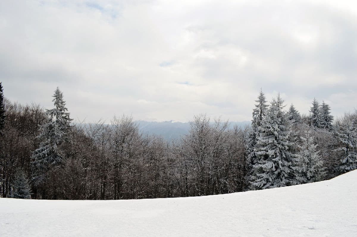 ex-Tropensturm bläst uns den Winter ins Land!