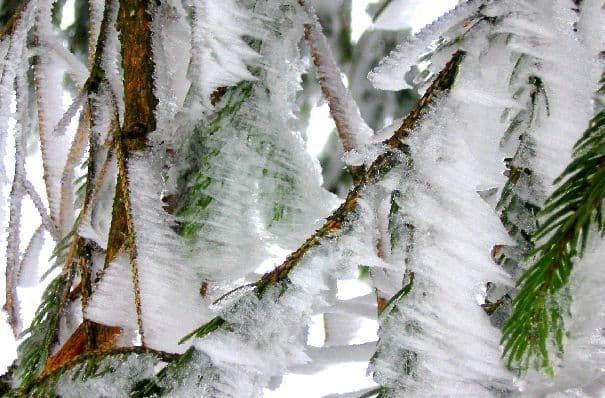 Frostige Zeiten für Nordamerika!