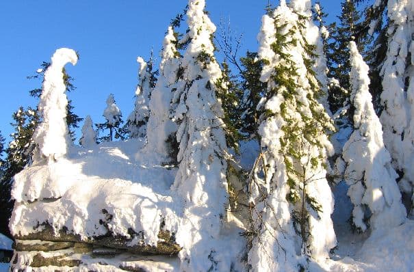 Schneesturm und Regenfluten