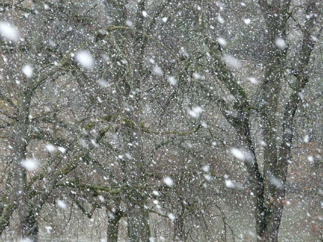Stürmischer Jahreswechsel leitet Mini-Winter ein