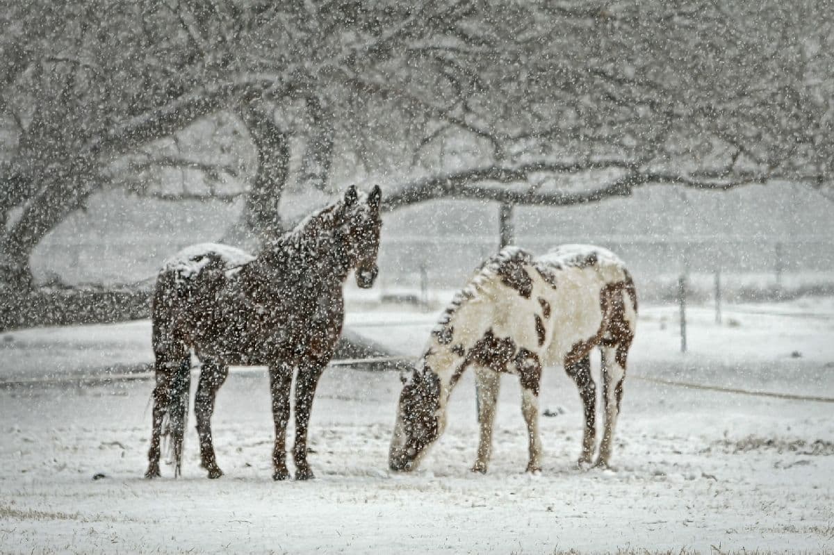 Bei Dauerfrost gebietsweise Schneefälle