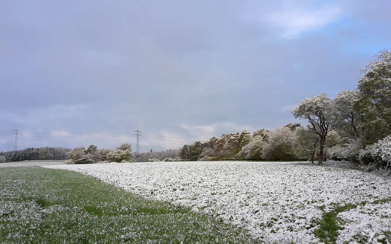 Frühlingswetter gerät mal wieder ins Straucheln