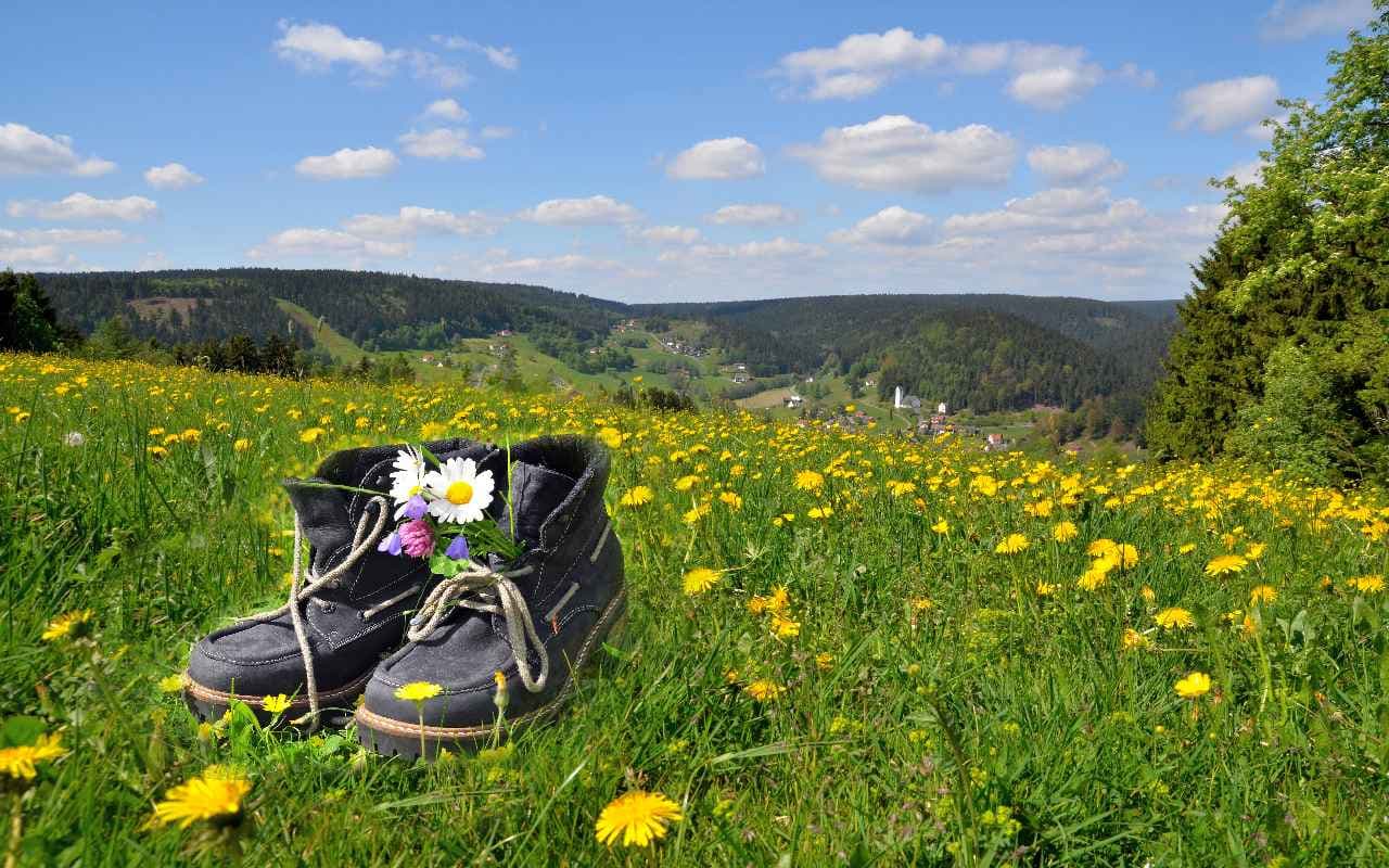 Sommerwetter meldet sich zurück