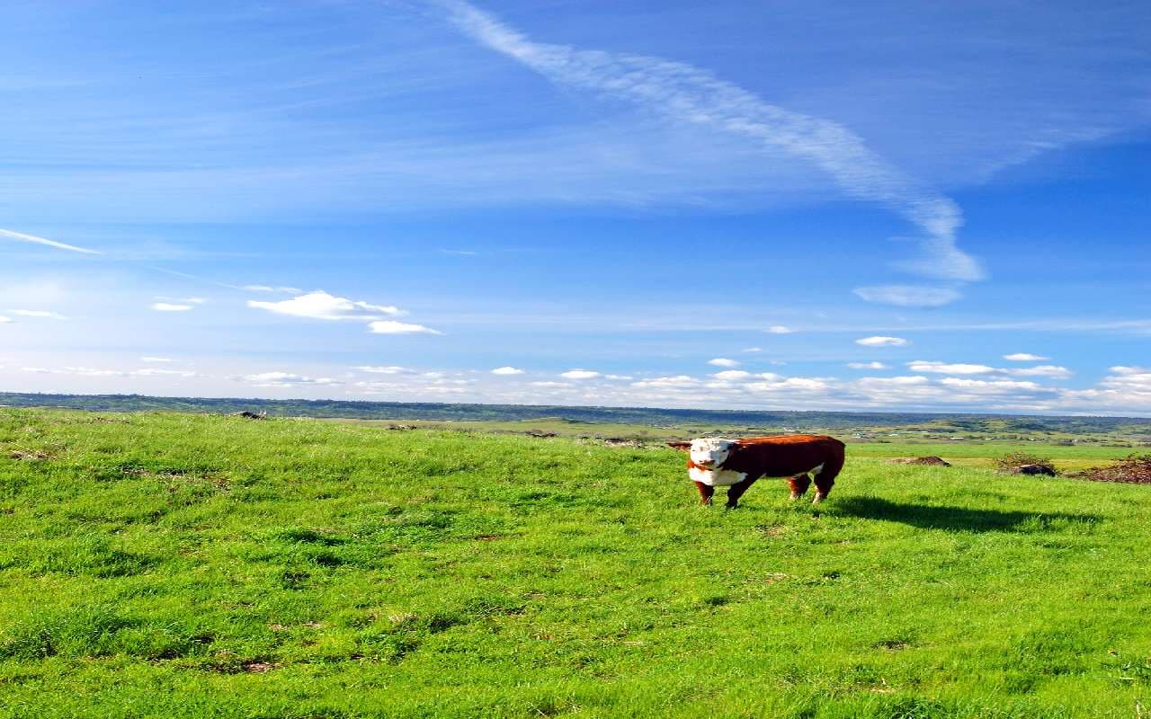 Sonne und Wärme auf dem Vormarsch