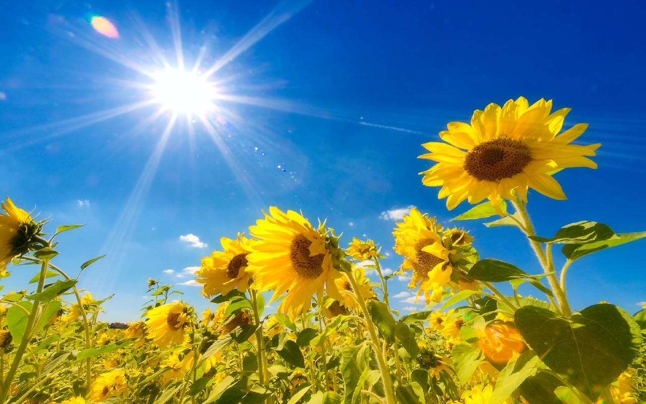 Heiß und meist sonnenreich