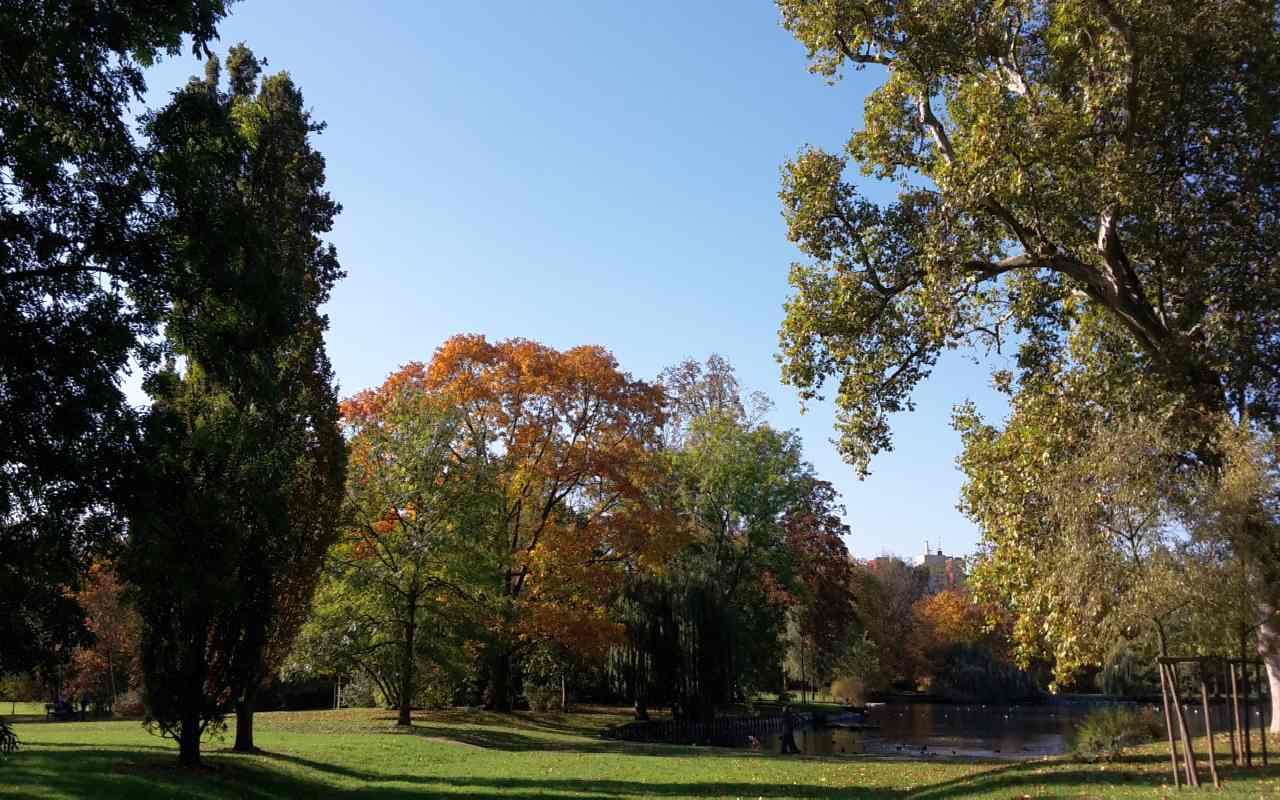 Altweibersommer setzt sich durch