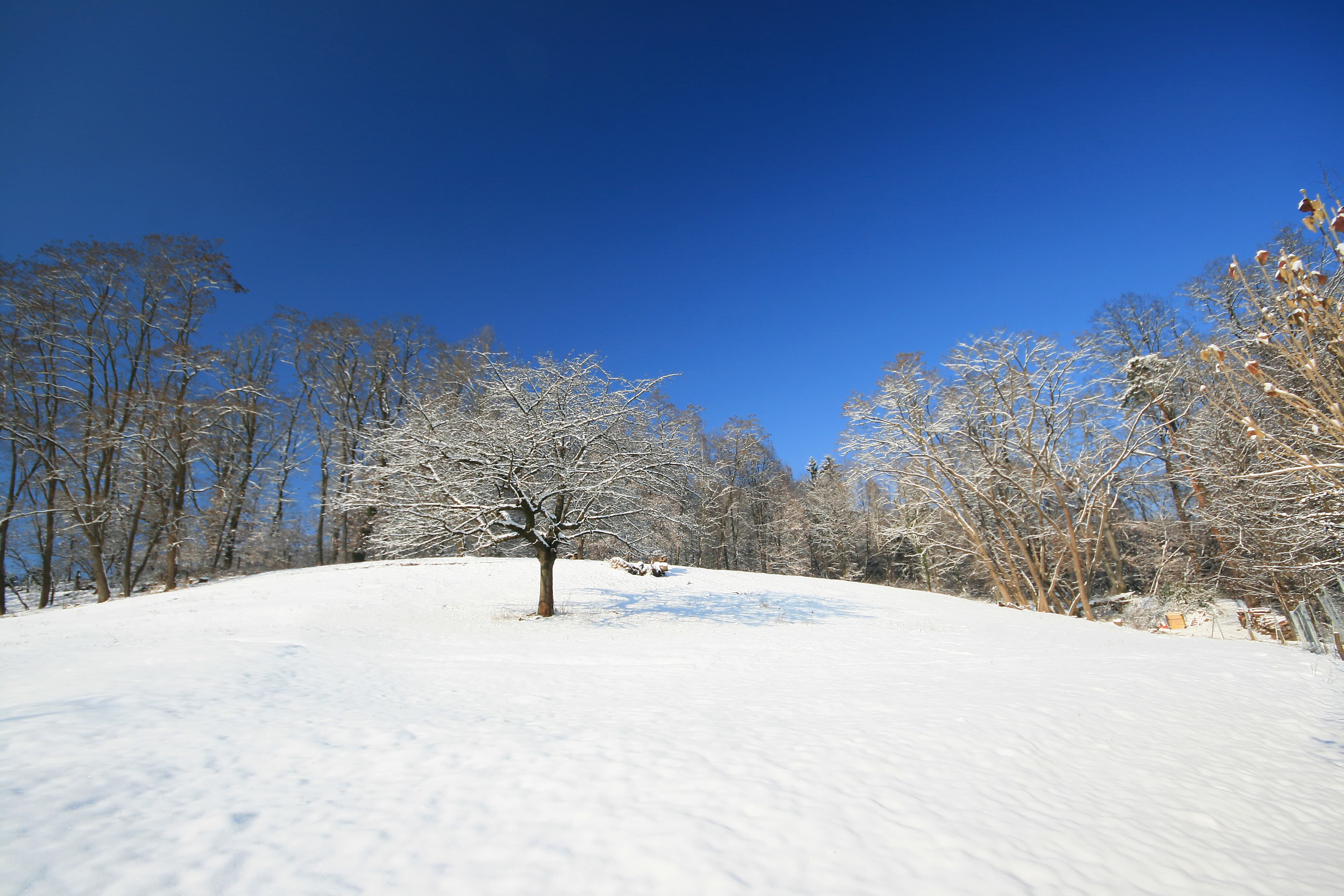 Wie lange halten sich Schnee und Frost?