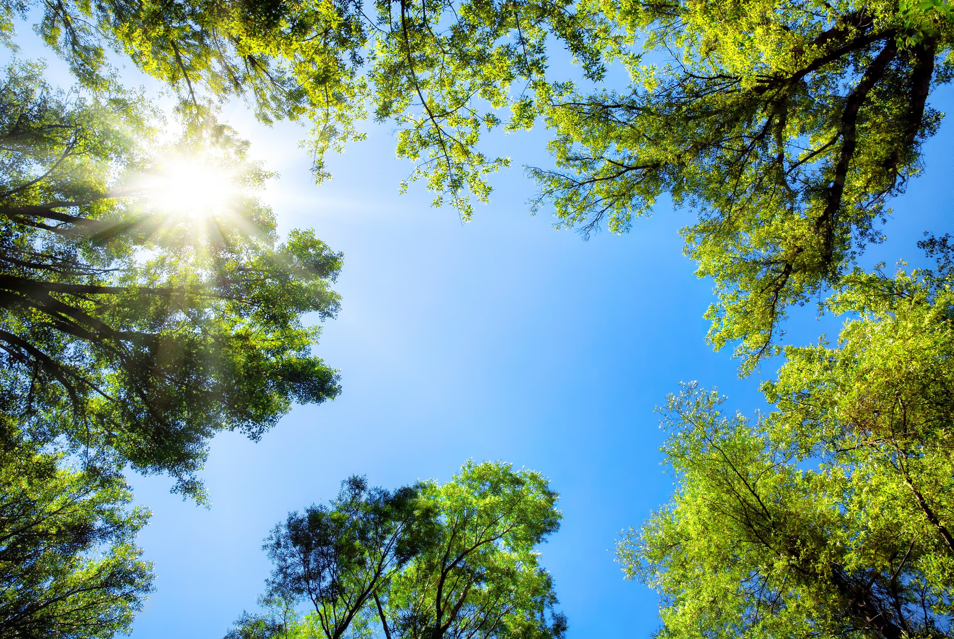 Sonniges Frühlingswetter bleibt erhalten
