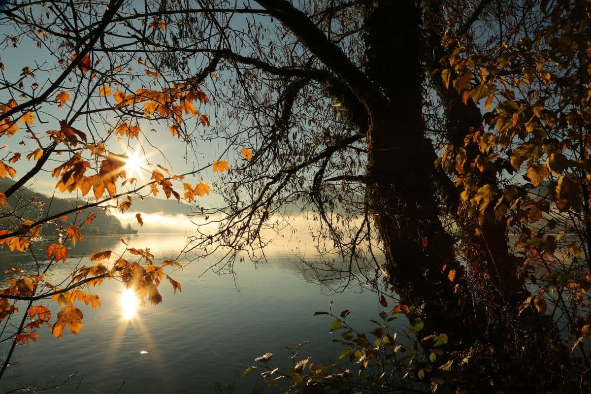 Im Norden bewölkt, sonst nach Nebel freundlich