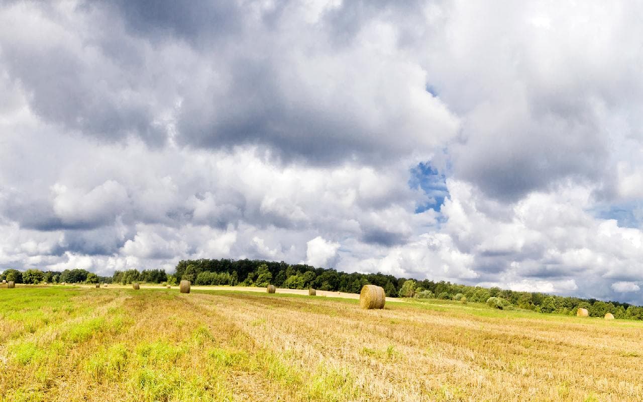 Zwischen Sommer- und Frühherbstwetter