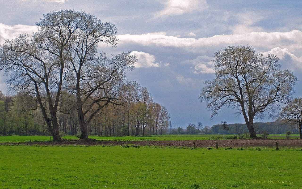 Von Nordosten Abkühlung