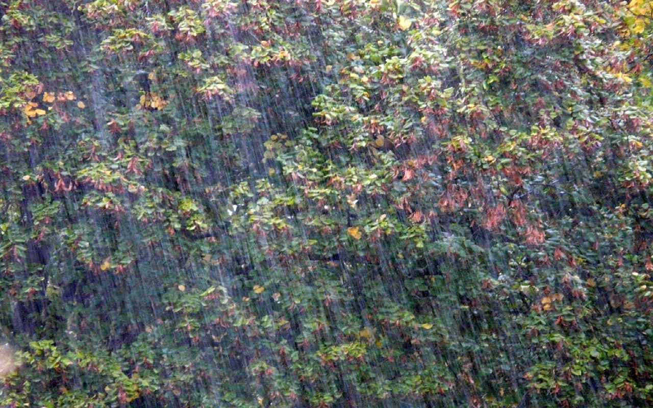 Erst Gewitterschauer, dann starke Regenfälle mit Überflutungsgefahr