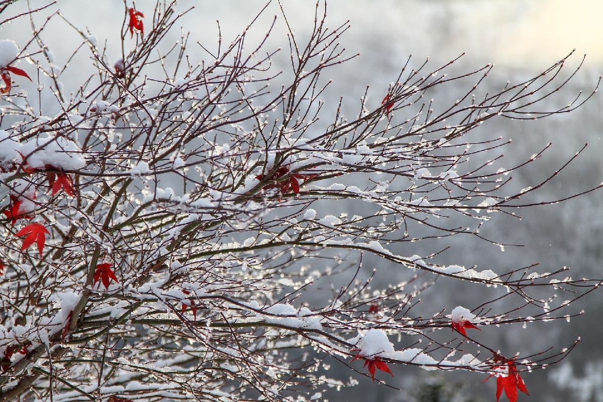 Wolkenreich mit Regen und Schnee
